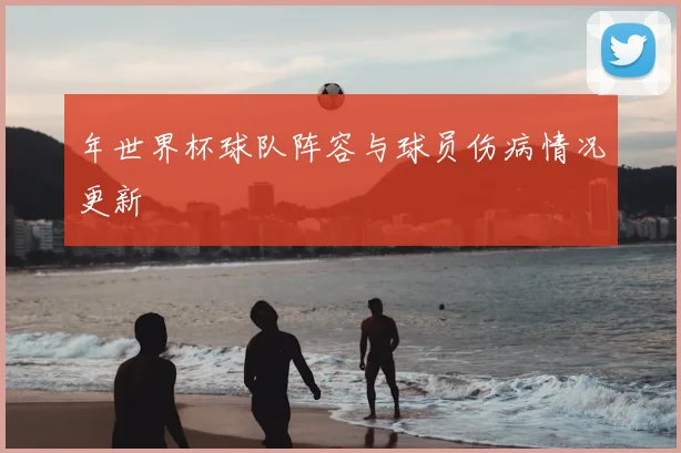 年世界杯球队阵容与球员伤病情况更新